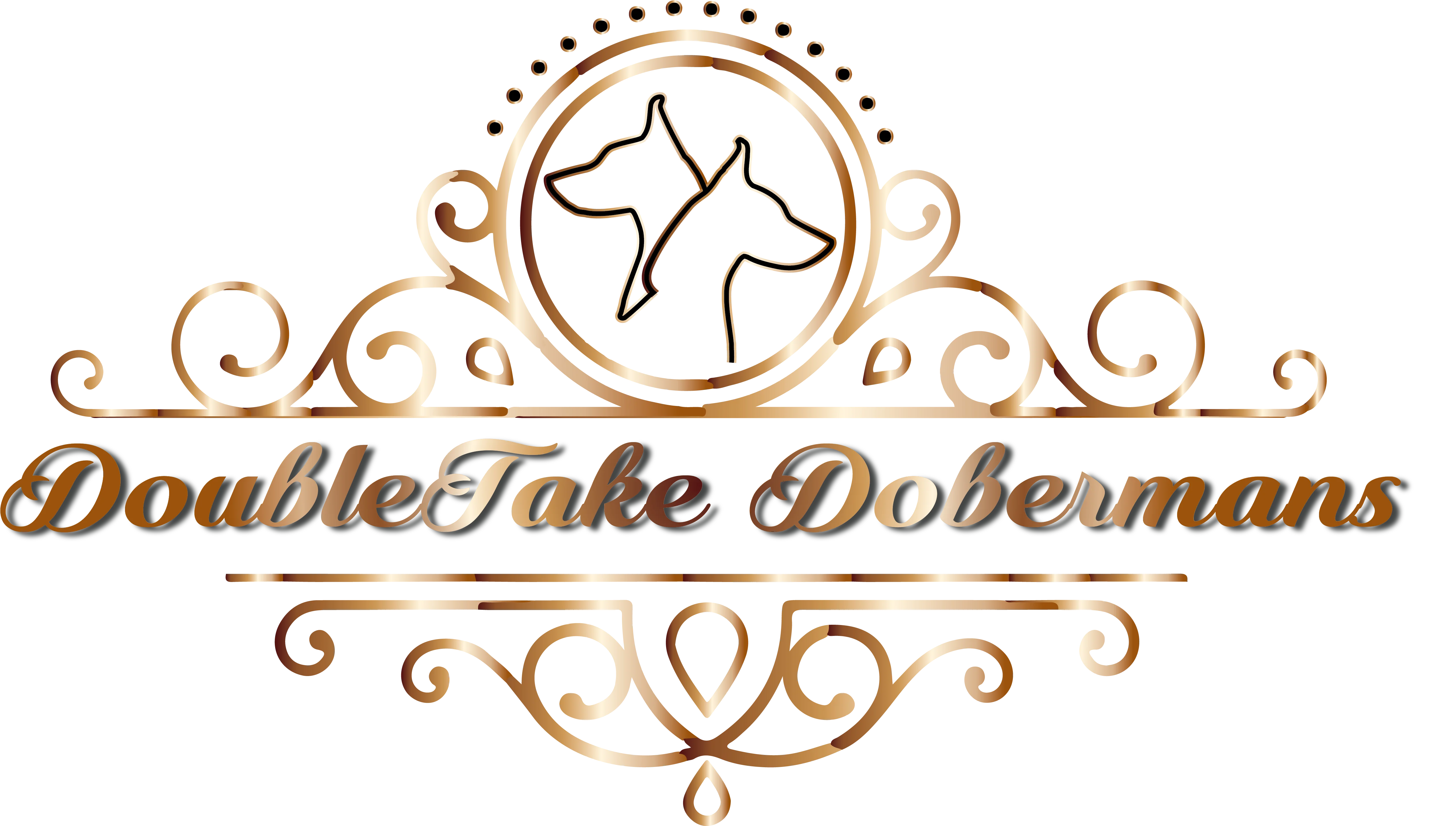 DoubleTake Dobermans Logo